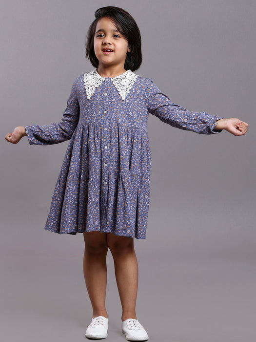 BLUE IRIS VINTAGE COLLAR DRESS