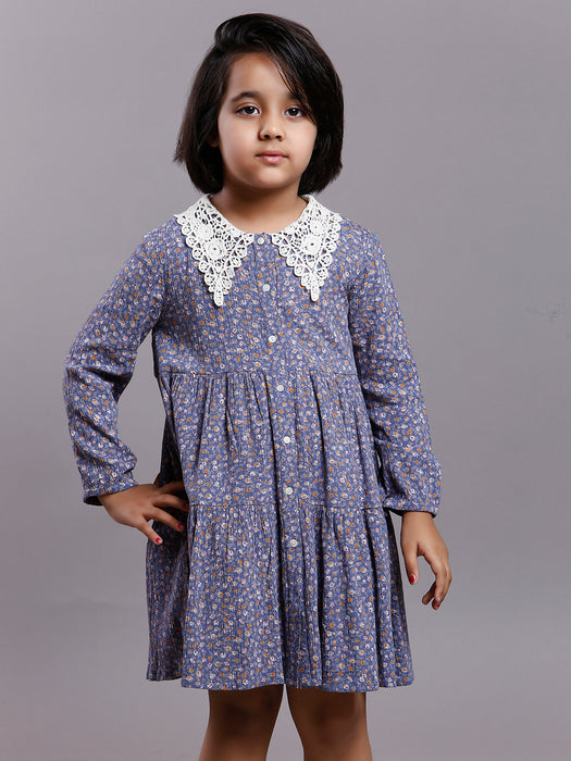 BLUE IRIS VINTAGE COLLAR DRESS