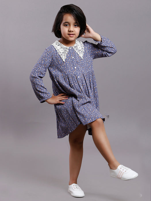 BLUE IRIS VINTAGE COLLAR DRESS